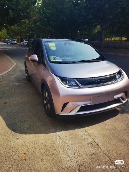 比亚迪微型小汽车,比亚迪海豚属于小型新能源汽车吗