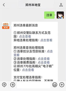 郑州违章查询在线查询官网，郑州车辆违章怎么查询