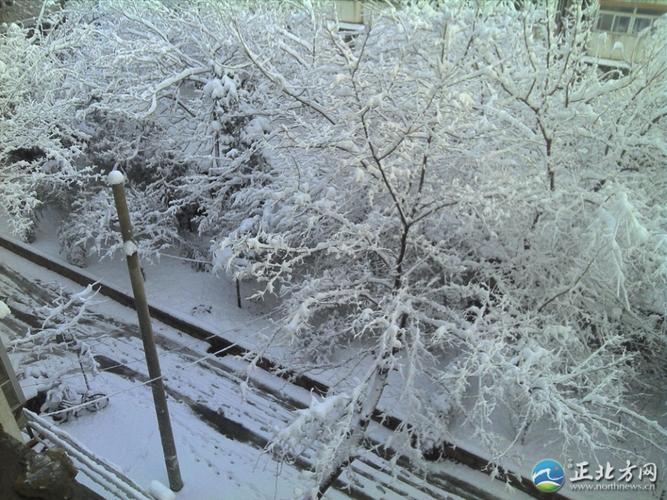 北京刚刚传来特大消息(北京今天的雪能下多大最近还会下雪吗)