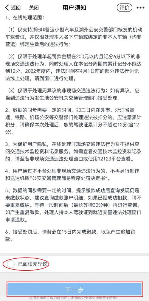 湖州交通违章查询官网，浙里办怎么交头盔罚款