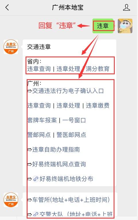 广东省违章查询掌付通(外省车辆在广东省内违章怎么查询)