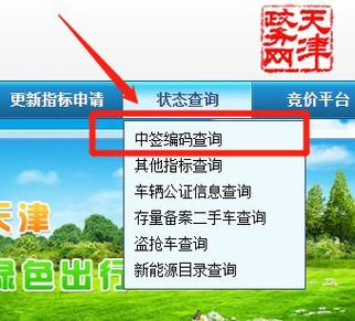 天津汽车摇号结果查询 天津市小汽车摇号结果怎么看