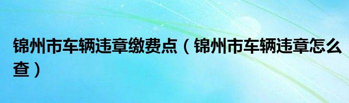 锦州交通违章 锦州交通违章交罚款有几个网点都在什么地方