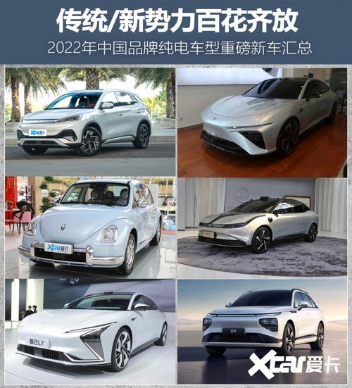 2022新款车(2022年上市全部新款车有哪些)