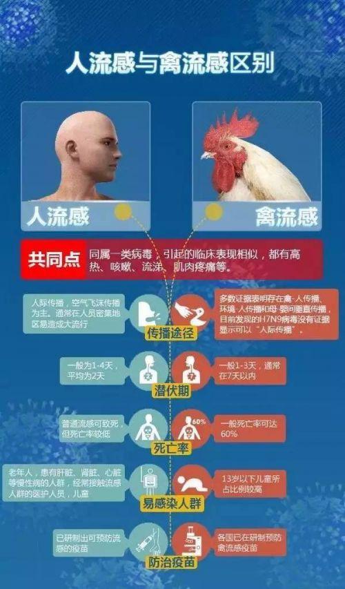 h7n9型禽流感 什么是H7N9型禽流感
