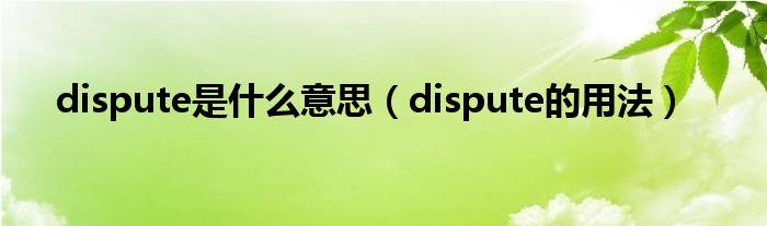 dispute dispute是什么意思