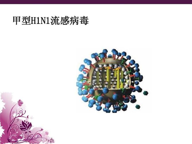 h1n1什么病毒 什么是H1N1病毒