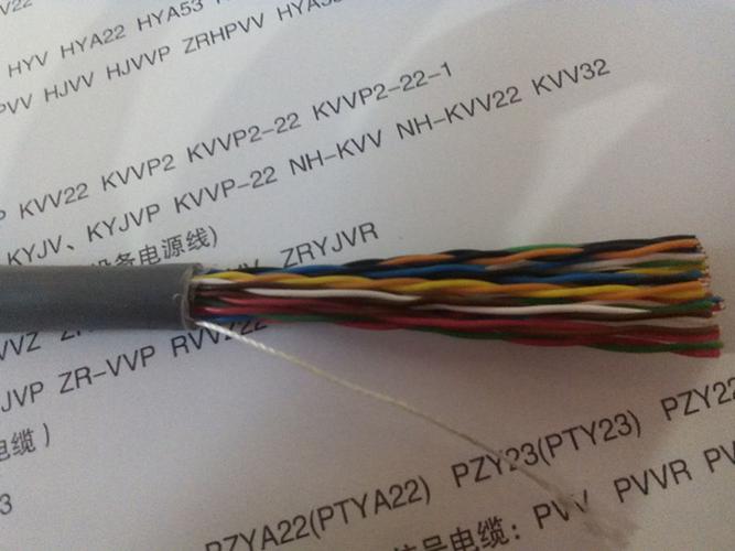 rs485通讯电缆接线(RS485通讯线是什么电缆)