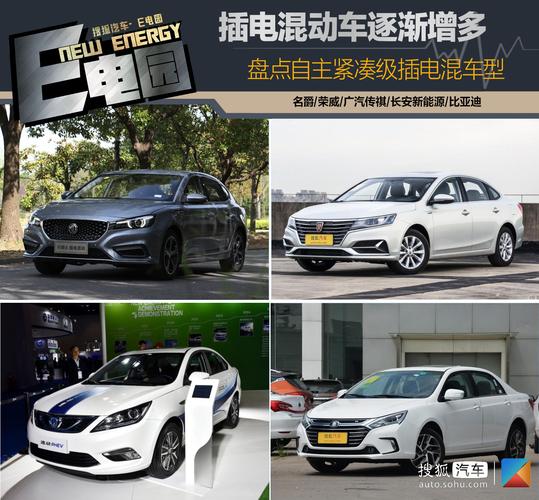 8万左右油电混合车 10万左右的油电混合汽车有哪些