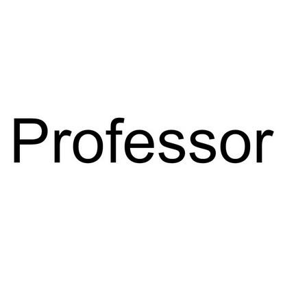 professor professor是什么意思