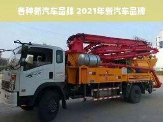 各种新汽车品牌 2021年新汽车品牌