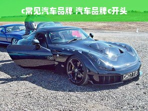 c常见汽车品牌 汽车品牌c开头