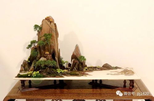 靖江汽车品牌（靖江汽车厂）