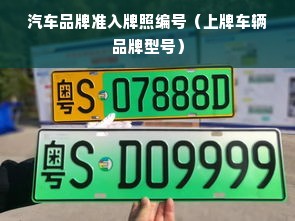 汽车品牌准入牌照编号（上牌车辆品牌型号）