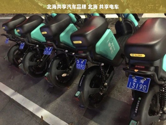 北海共享汽车品牌 北海 共享电车