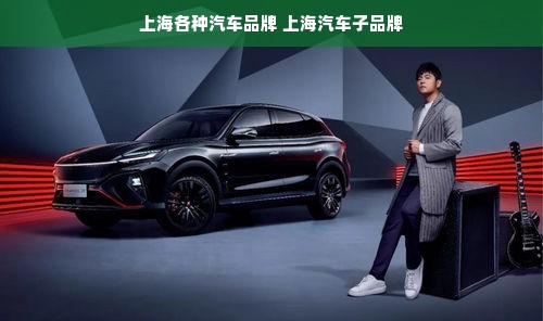 上海各种汽车品牌 上海汽车子品牌