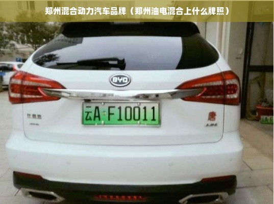 郑州混合动力汽车品牌（郑州油电混合上什么牌照）