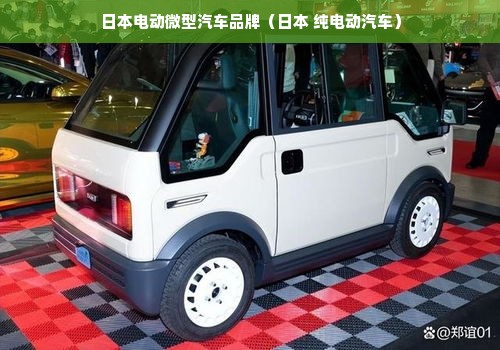 日本电动微型汽车品牌（日本 纯电动汽车）