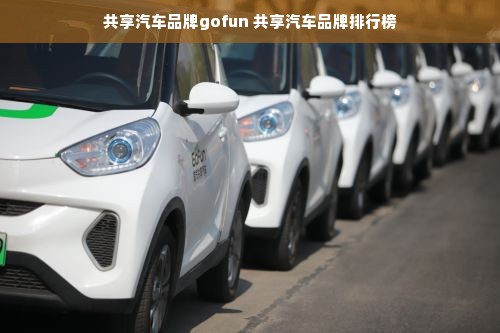 共享汽车品牌gofun 共享汽车品牌排行榜