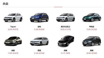中国市场最大的汽车品牌（中国市场最大的汽车品牌有哪些）