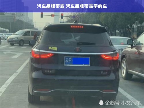 汽车品牌带霸 汽车品牌带霸字的车