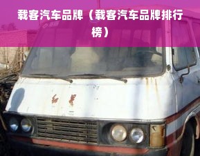 载客汽车品牌（载客汽车品牌排行榜）