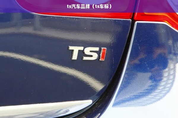 ts汽车品牌（ts车标）