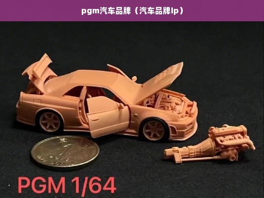 pgm汽车品牌（汽车品牌ip）