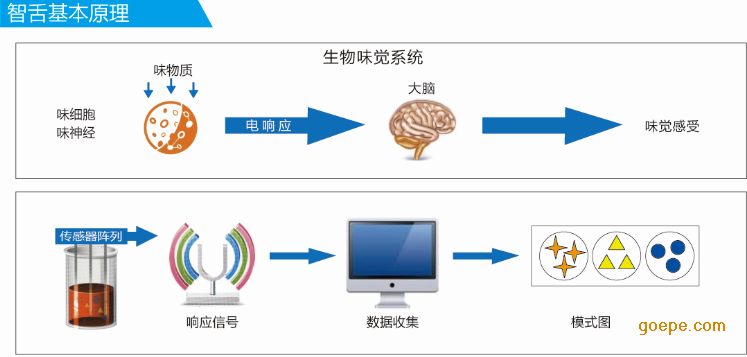 汽车品牌pn（汽车品牌排行榜前十名标志）