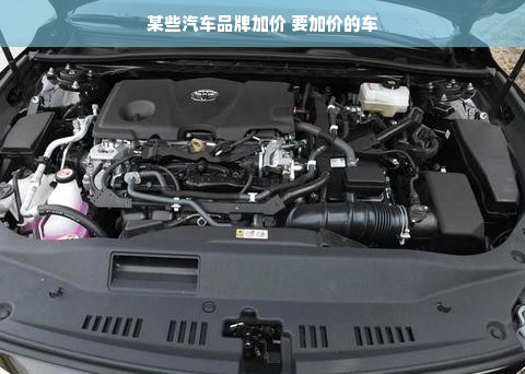 某些汽车品牌加价 要加价的车