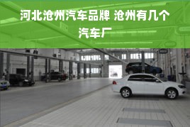 河北沧州汽车品牌 沧州有几个汽车厂