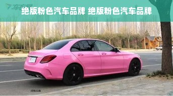 绝版粉色汽车品牌 绝版粉色汽车品牌