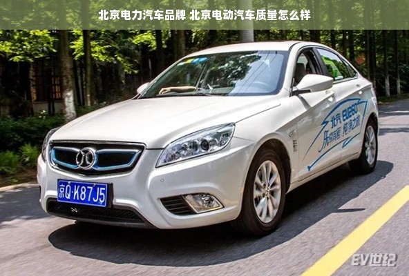 北京电力汽车品牌 北京电动汽车质量怎么样