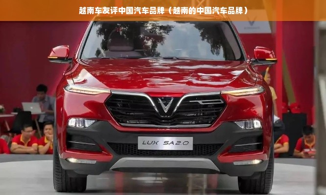 越南车友评中国汽车品牌（越南的中国汽车品牌）