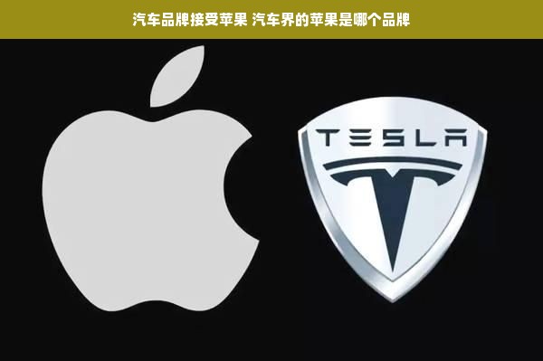汽车品牌接受苹果 汽车界的苹果是哪个品牌