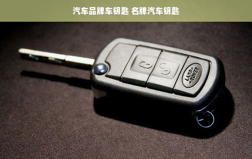 汽车品牌车钥匙 名牌汽车钥匙