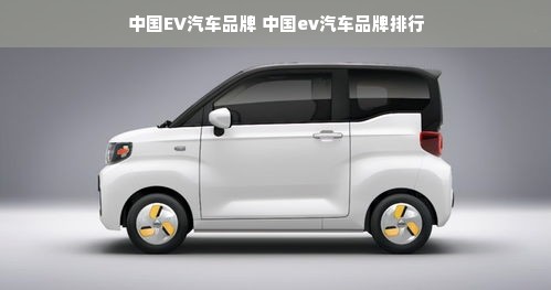 中国EV汽车品牌 中国ev汽车品牌排行