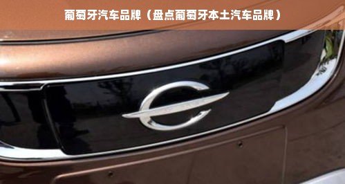 葡萄牙汽车品牌（盘点葡萄牙本土汽车品牌）