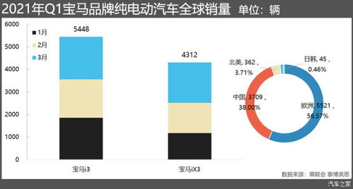 枭龙电动汽车品牌推荐（盘点国内十大纯电汽车品牌）