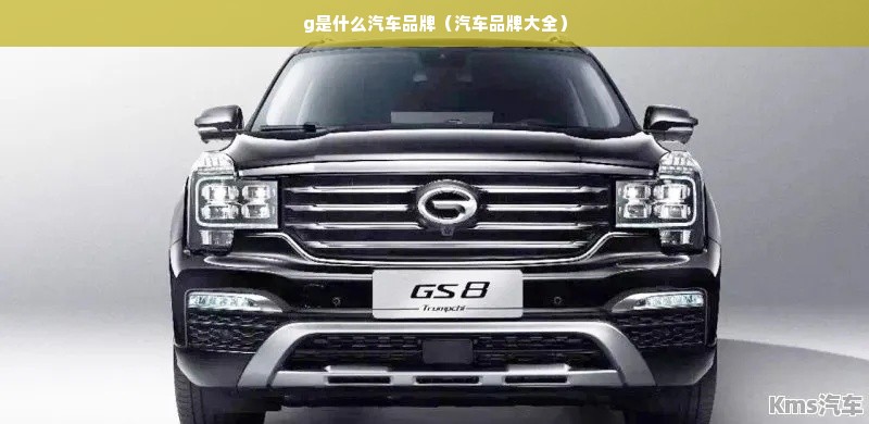 g是什么汽车品牌（汽车品牌大全）