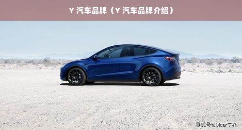 Y 汽车品牌（Y 汽车品牌介绍）