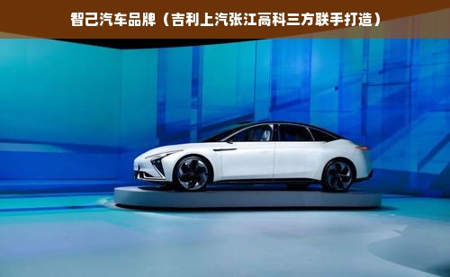 智己汽车品牌（吉利上汽张江高科三方联手打造）