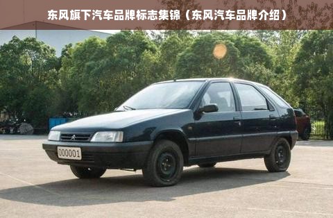 东风旗下汽车品牌标志集锦（东风汽车品牌介绍）