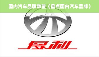 国内汽车品牌数量（盘点国内汽车品牌）