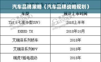 汽车品牌策略（汽车品牌战略规划）