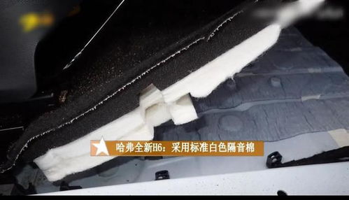 黑心棉汽车品牌（揭秘那些使用黑心棉的汽车品牌）