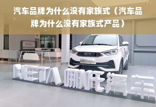 汽车品牌为什么没有家族式（汽车品牌为什么没有家族式产品）