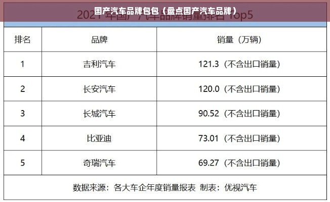 国产汽车品牌包包（盘点国产汽车品牌）