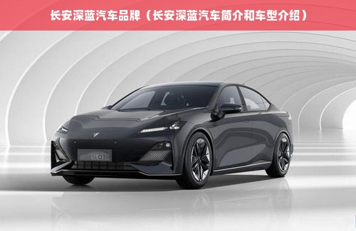 长安深蓝汽车品牌（长安深蓝汽车简介和车型介绍）