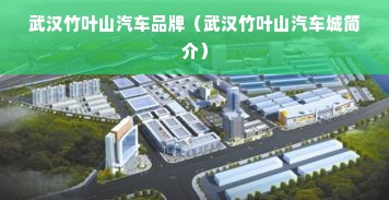 武汉竹叶山汽车品牌（武汉竹叶山汽车城简介）